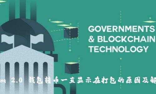 Tokenim 2.0 钱包转币一直显示在打包的原因及解决方法