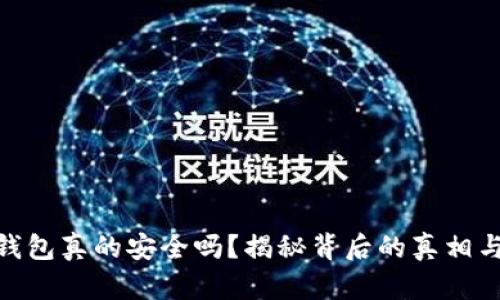 数字钱包真的安全吗？揭秘背后的真相与风险